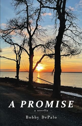 A Promise von Stillwater River Publications