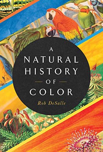 A Natural History of Color: The Science Behind What We See and How We See it von Pegasus Books
