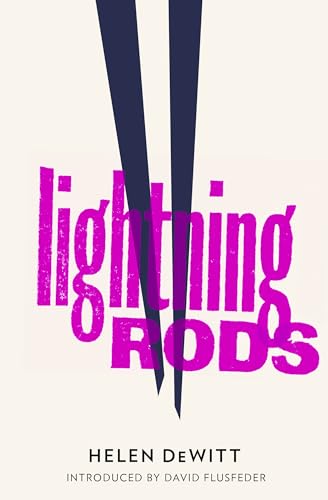 Lightning Rods: Shortlisted for the 2013 Bollinger Everyman Wodehouse Prize for comic fiction Lightning Rods: Shortlisted for the 2013 Bollinger Everyman Wodehouse Prize for comic fiction