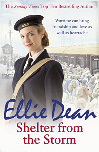 Shelter from the Storm (The Cliffehaven Series, 11, Band 11) von Arrow