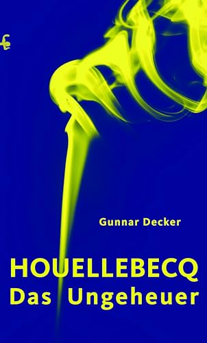 Houellebecq, das Ungeheuer Houellebecq, das Ungeheuer von Matthes & Seitz Verlag