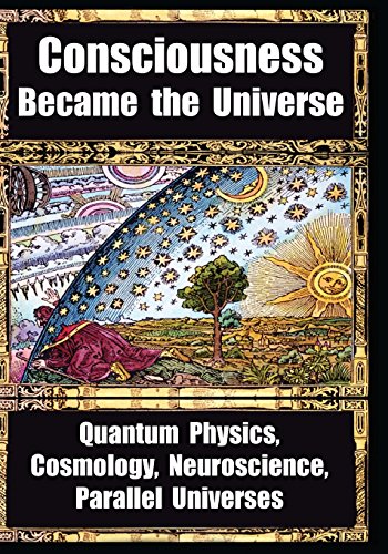 How Consciousness Became the Universe: Quantum Physics, Cosmology, Neuroscience, Parallel Universes