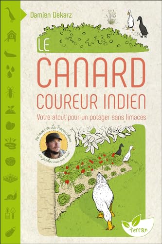Le Canard coureur indien - Votre atout pour un potager sans limaces
