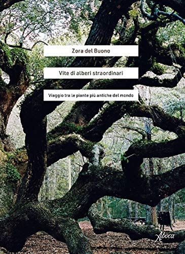 Vite di alberi straordinari. Viaggio tra le piante più antiche del mondo von Aboca Edizioni