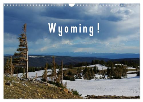 Wyoming! / UK-Version (Wall Calendar 2025 DIN A3 landscape), CALVENDO 12 Month Wall Calendar: A trip through Wyoming, the ¿Cowboy State".