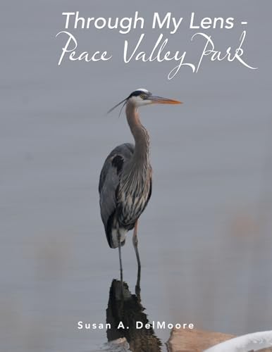Through My Lens - Peace Valley Park von Archway Publishing