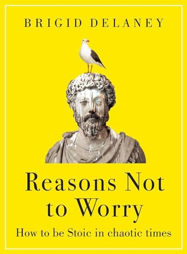 Reasons Not to Worry: How to be Stoic in chaotic times von Piatkus