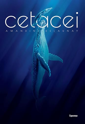 Cetacei. Album scoperte von L'Ippocampo