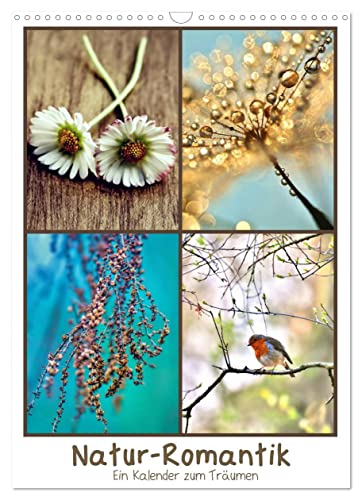 Natur-Romantik (Wandkalender 2023 DIN A3 hoch): Die Natur ist mir ihren Farben, Formen und ihrer Vielfalt kaum zu übertreffen. Dieser Kalender wird ... (Monatskalender, 14 Seiten ) (CALVENDO Natur)