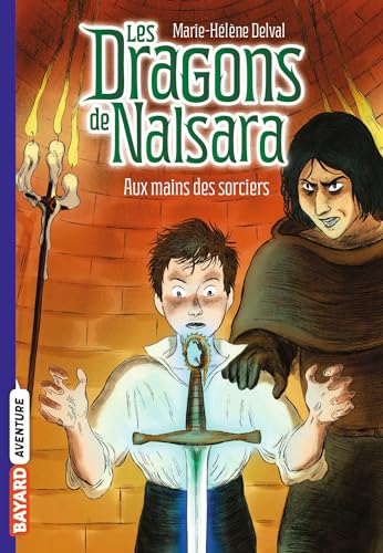 Les dragons de Nalsara, Tome 10: Aux mains des sorciers