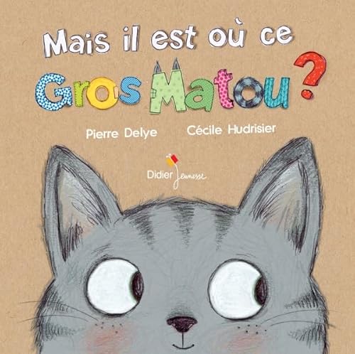 Mais il est ou ce gros matou ? von DIDIER JEUNESSE