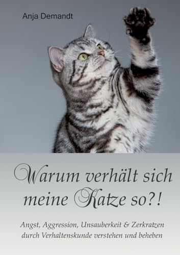 Warum verhält sich meine Katze so: Angst Aggression Unsauberkeit Zerkratzen durch Verhaltenskunde verstehen und beheben