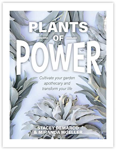 Plants of Power: Cultivate your garden apothecary and transform your life von Rockpool Publishing