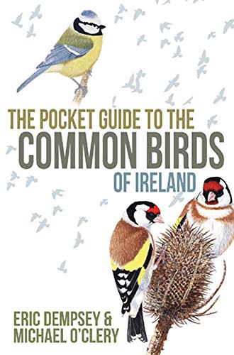 The Pocket Guide to the Common Birds of Ireland von Gill Books