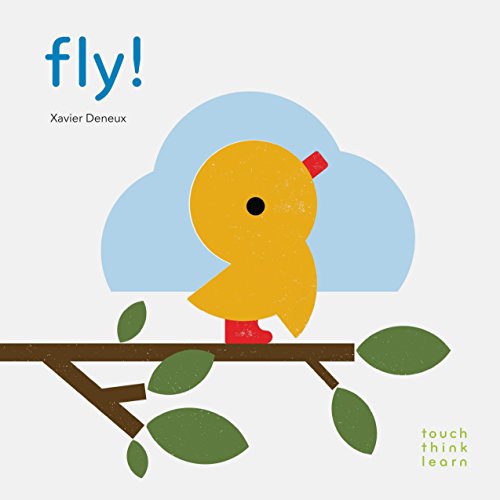 Fly! (TouchThinkLearn): 1