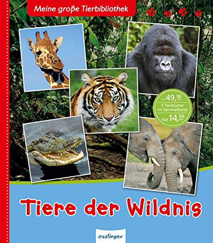 Meine große Tierbibliothek: Tiere der Wildnis: Sachbuch für Vorschule & Grundschule