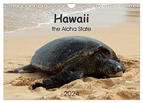 Hawaii the Aloha State (Wandkalender 2024 DIN A4 quer), CALVENDO Monatskalender von CALVENDO