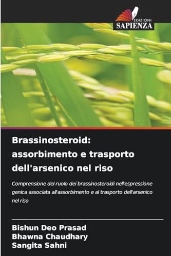 Brassinosteroid: assorbimento e trasporto dell'arsenico nel riso: Comprensione del ruolo dei brassinosteroidi nell'espressione genica associata all'assorbimento e al trasporto dell'arsenico nel riso