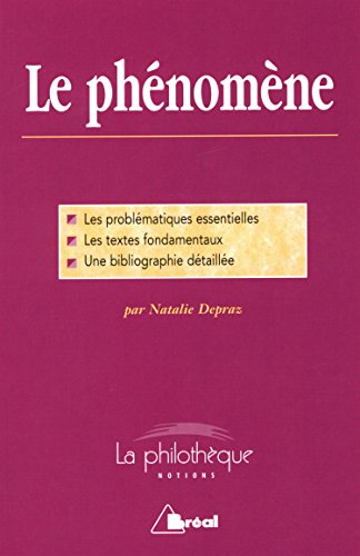 Le phénomène: Les problématiques essentielles