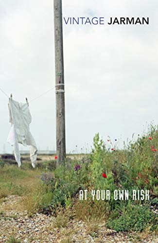 At Your Own Risk: A Saint's Testament von Vintage Classics