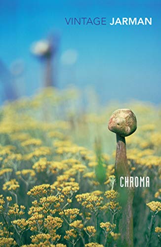Chroma: A Book of Colour - June '93 von Vintage Publishing