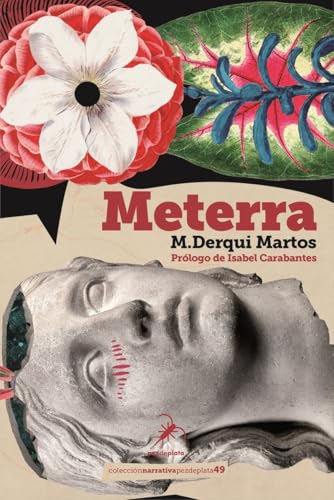 METERRA (Narrativa Pez de Plata, Band 49) von Editorial Pez de Plata