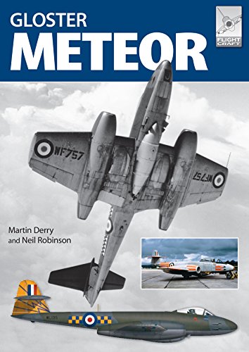 Gloster Meteor in British Service (Flightcraft, 13, Band 13)