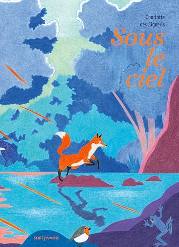 Sous le ciel von SEUIL JEUNESSE