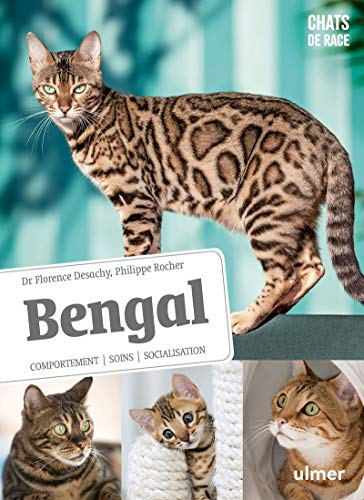 Bengal - Comportement, soins, sociabilisation: Comportement, soins, socialisation