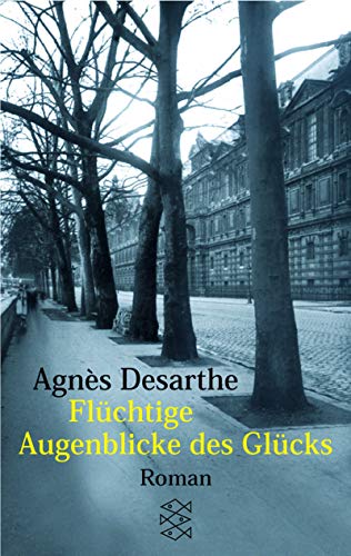 Flüchtige Augenblicke des Glücks: Roman (Fischer Taschenbücher)