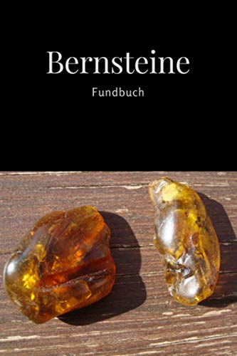 Bernsteine Fundbuch: Logbuch zum Eintragen und Ausfüllen für Bernsteinsammler und Bernsteinfreunde