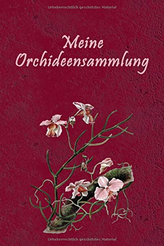 Meine Orchideensammlung: Liste Sammlung für deine Orchideen | Journal Notebook Sammlerbuch für Orchideenliebhaber Orchideensammler oder Orchideenkenner