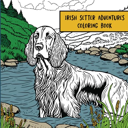 Irish Setter Adventures: Coloring Book von Independently published