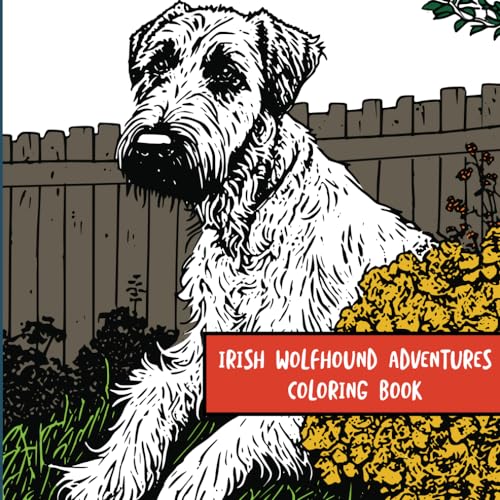 Irish Wolfhound Adventures: Coloring Book von Independently published