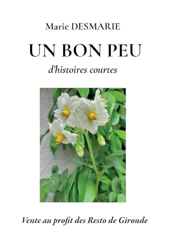 Un bon peu: d'histoires courtes von Librinova