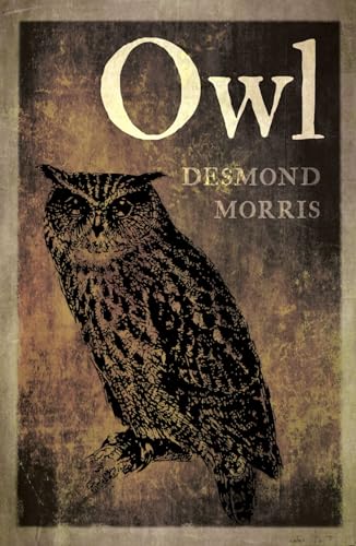 Owl Owl