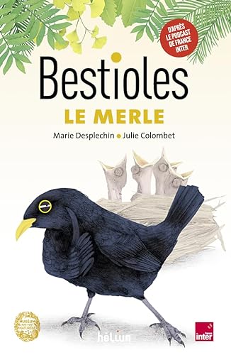 Bestioles - Le Merle von HELIUM
