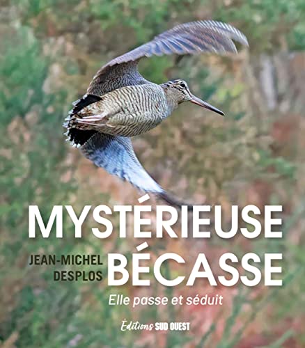 Mystérieuse bécasse: Elle passe et séduit