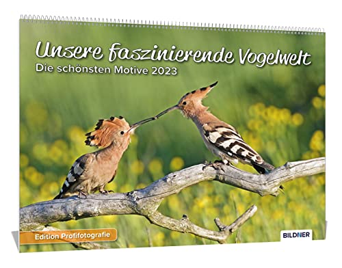 Vogelkalender 2023, Unsere faszinierende Vogelwelt! Die schönsten Aufnahmen heimischer Vögel 2023 – Hochwertiger Wandkalender DIN A3 quer: Kalender / ... / Vogelkalender – Edition Profifotografie von BILDNER Verlag