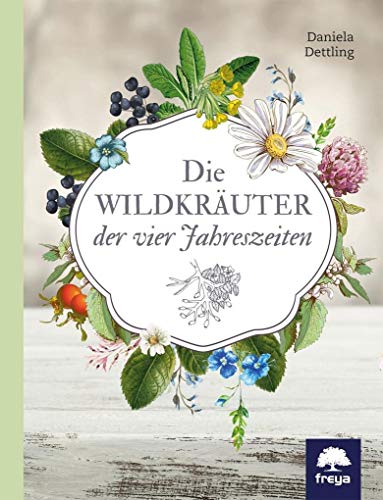 Die Wildkräuter der vier Jahreszeiten