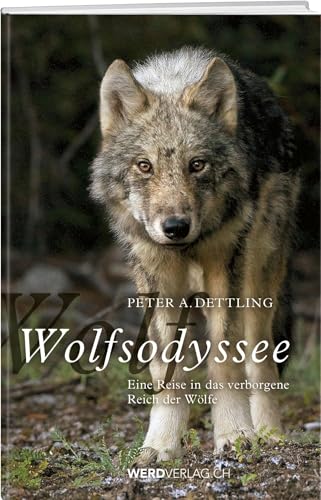 Wolfsodyssee: Eine Reise in das verborgene Reich der Wölfe