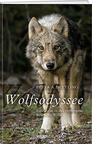 Wolfsodyssee: Eine Reise in das verborgene Reich der Wölfe von Werd Weber Verlag AG