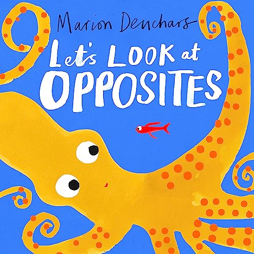 Let's Look at... Opposites: Board Book von Laurence King Publishing