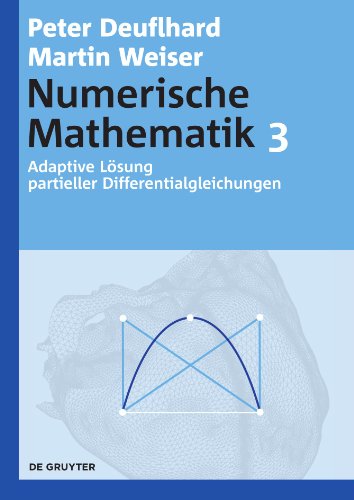 Adaptive Lösung partieller Differentialgleichungen (De Gruyter Lehrbuch) von de Gruyter