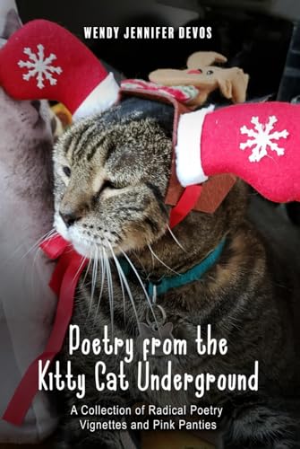 Poetry From The Kitty Cat Underground: A Collection Of Radical Poetry, Vignettes And Pink Panties von Hemingway Publishers