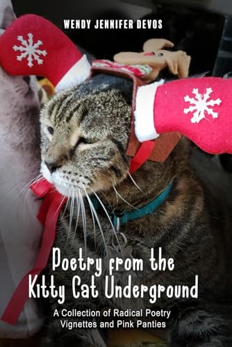 Poetry From The Kitty Cat Underground: A Collection Of Radical Poetry, Vignettes And Pink Panties von Hemingway Publishers