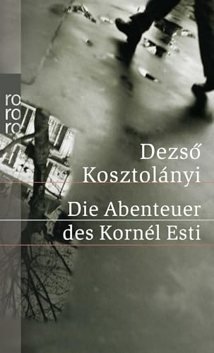 Die Abenteuer des Kornél Esti von Rowohlt
