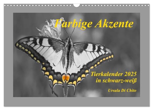 Farbige Akzente - Tierkalender 2025 in schwarz-weiß (Wandkalender 2025 DIN A3 quer), CALVENDO Monatskalender von CALVENDO