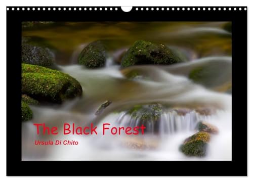 The Black Forest - UK Version (Wall Calendar 2025 DIN A3 landscape), CALVENDO 12 Month Wall Calendar: Impressions from the Black Forest