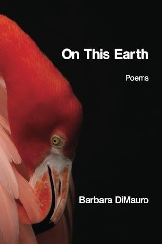 On This Earth On This Earth von Kelsay Books